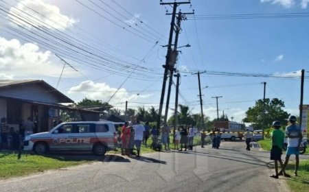 Dodelijke botsing op Vioolstraat: fietser laat het leven