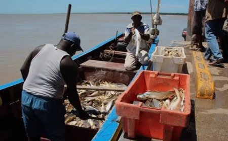 Verbod Surinaamse visexport naar VS per 1 januari 2026 