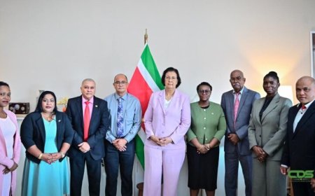 Nieuwe Deviezencommissie moet Suriname helpen sturen op deviezen, export en groei