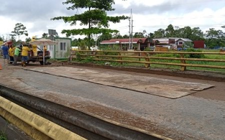 Noodreparatie aan Parakreekbrug aangebracht