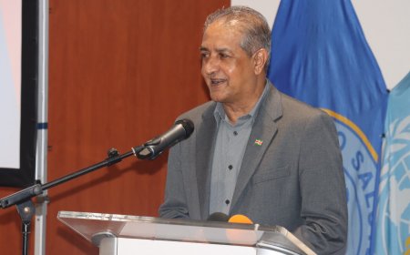 Onderminister Jadnanansing kondigt ingrijpen aan: herstart 114-hulplijn binnen half jaar