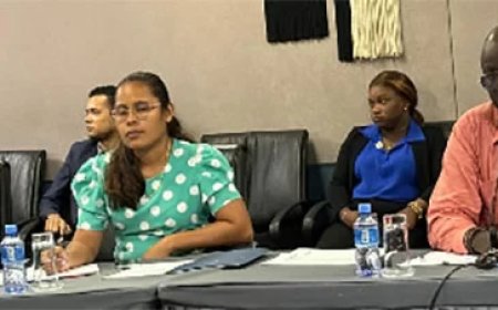 Parlementaire commissie volgt Caricom-standpunt over Venezuela