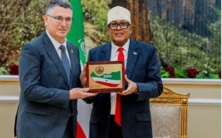 Israëlische minister bezoekt Somaliland en stuit op felle kritiek