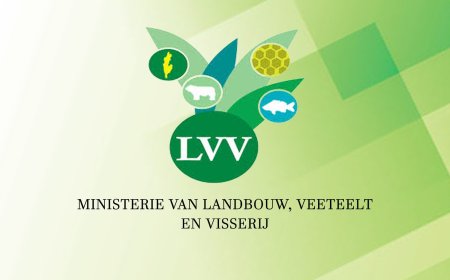 Suriname behoudt toegang tot VS-markt voor visexport