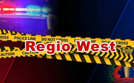 Politie Regio West treft negen illegale vreemdelingen aan in appartement