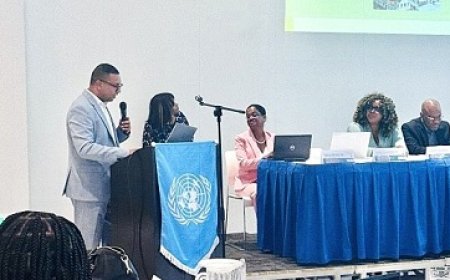 Belang van data benadrukt tijdens SIDS workshop in Guyana