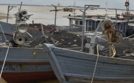 Alleen vis van SK-drijfnetvisserij en Venezolaanse vaartuigen voorlopig uitgesloten van expor