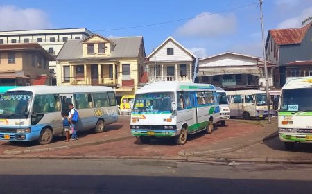 Bushouder Paramaribo-Lelydorp: “Ritten sterk verminderd sinds de Covid-pandemie”