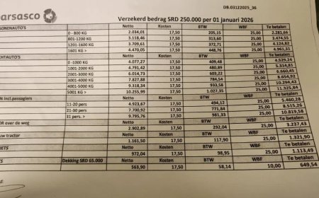 Premiestijgingen raken automobilisten, verzekeren opnieuw duurder per januari