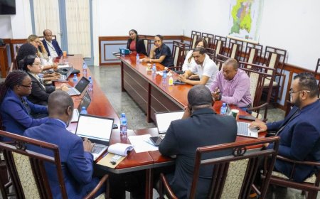 DNA-commissie wil harde ingrepen na familiedrama Tamansari: focus op mentale zorg en preventi