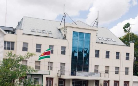 Buitenlandse Zaken boos om uitlekken diplomatenlijst