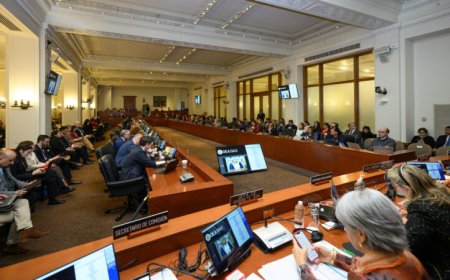 OAS-chef waarschuwt: situatie Venezuela test regionale orde