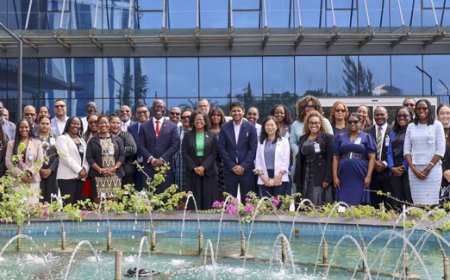 SIDS workshop in Guyana benadrukt belang investeringen in data