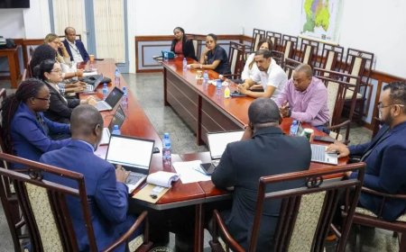 Vaste DNA-commissie  SoZaVo wil dat er meer middelen worden vrijgemaakt voor mentale gezondhe