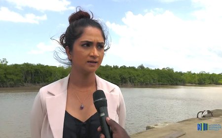 De beloning van vernieling: hoe Hanisha Jairam de dans ontspringt