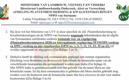 Dossier houtexport 1: Certificaat onder protest: LVV vecht rechterlijk bevel aan