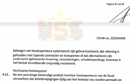 Dossier houtexport 2: Niet plotseling, maar te laat
