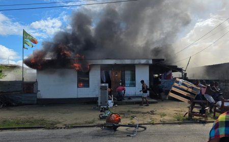 Brand verwoest twee woningen aan Adroestraat