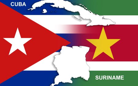 “Er is werk als je wilt werken”