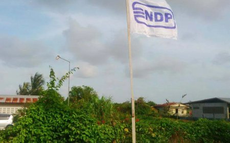 NDP-jongeren stomen nieuwe generatie ondernemers klaar