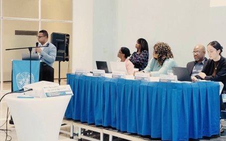 Surinaamse delegatie neemt in Guyana deel aan workshop