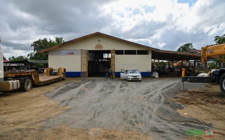 Nieuwe directeur wil Surzwam weer gezond maken