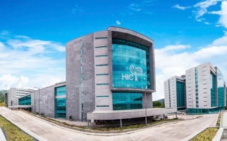 President en minister terug; kosten betaald door HIC