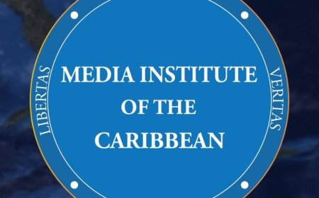 MIC: Sluiting Trinidadiaanse krant Newsday toont diepe crisis in Caribische media