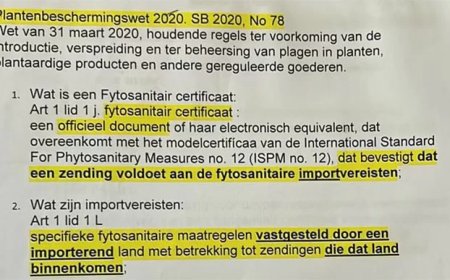 Dossier houtexport 5 - Advocaat Staat: rechter veroordeelt Suriname tot het plegen misdrijf