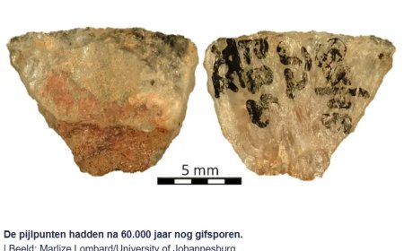 Opmerkelijk – 60.000 jaar geleden gebruikte de mens al pijlen met gif om te jagen op wild