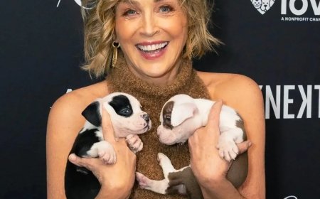 Sharon Stone op de rode loper van de 2026 Astra Film Awards