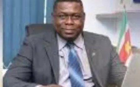 Directeur Grassalco per direct op non-actief gesteld