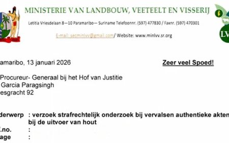 Dossier houtexport 9: PG bevestigt: LVV kan onbeperkt aangifte doen van strafbare feiten