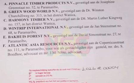 Dossier houtexport 10: Hoger beroep donderdag bij Hof van Justitie