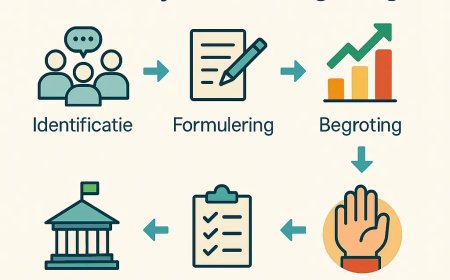 Van hoorzitting tot districtsplannen: hoe ressort-en districtsraden het regionaal beleid in S