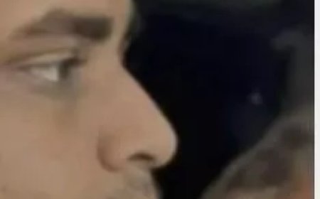 Schuld bekend na vondst 37 dode honden in Essex