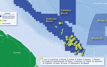 Snelle Guyana olieproductie verkort levensduur Liza-velden drastisch