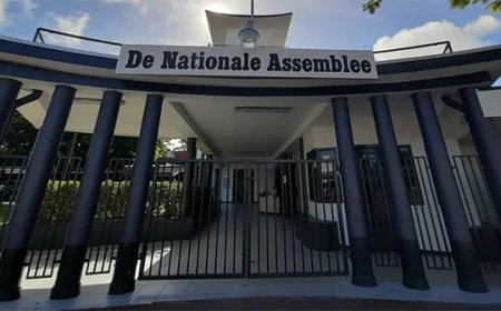 Voorstel in DNA: halve vergoeding bij structureel ontbreken quorum