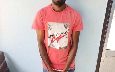 ‘Tingi’ drie weken na vernieling, bedreiging en mishandeling  aangehouden