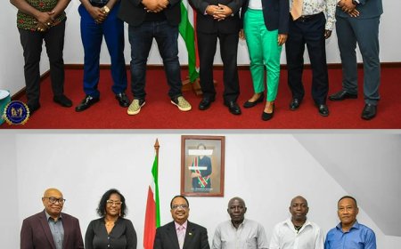 Nieuwe raden van toezicht bij SRS en STVS