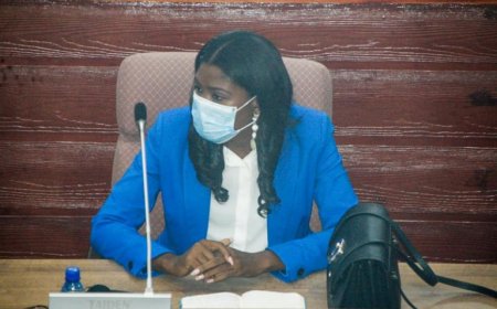 Lösche: ´Brain drain onder vorige regering verergerd´