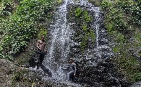 Nieuw bestuur bij Stinasu brengt hoop bij toerismesector