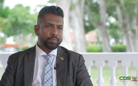 Criminaliteit daalt, huiselijk geweld baart zorgen