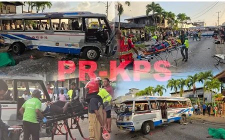 Zware aanrijding eist vier levens; veroorzaker zonder rijbewijs vastgezet