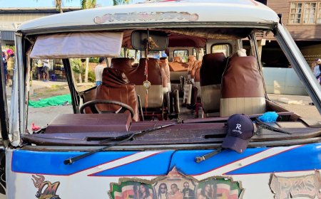 Automobilist met Nederlandse nationaliteit aangehouden na dodelijke aanrijding