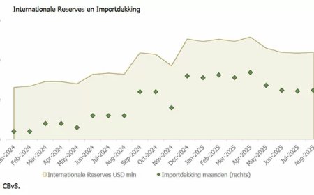 SEOB waarschuwt: economische stabiliteit kwetsbaar ondanks sterke reserves