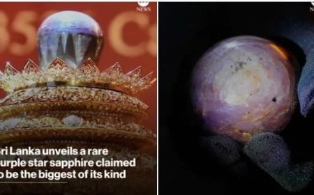 Grootste paarse ster­saffier ter wereld onthuld in Sri Lanka