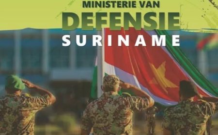 Directeur van Defensie; Deskundigheid versus politieke loyaliteit