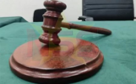 Hof van Justitie stelt advocaat Veira op vrije voeten