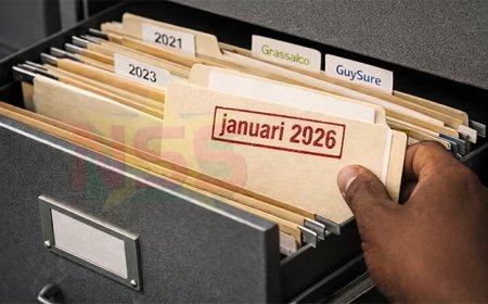 Column: Wanneer staatsbezit privé wordt opgericht, faalt de controle